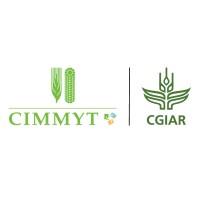 CIMMYT esta contratando un Ingeniero de Infraestructura en Findjobit